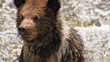 Dolomiten - Sagenhaftes Juwel der Alpen